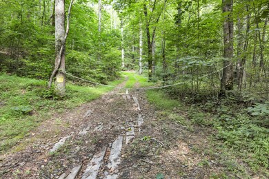 158.37 Acres | Williams Rd