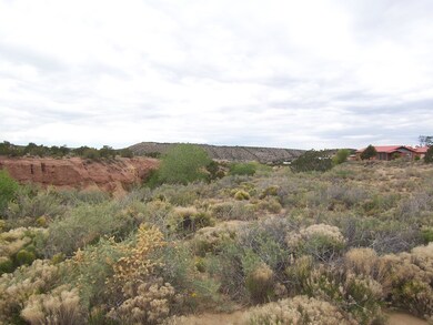 8 Martin Rd, Placitas, NM 87043 - photo 4