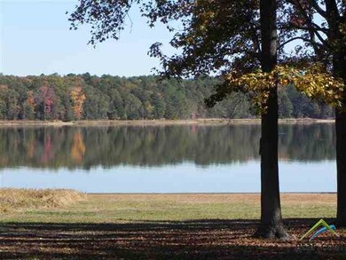 16321 Big Oak Bay Rd, Tyler, TX 75707 - photo 3