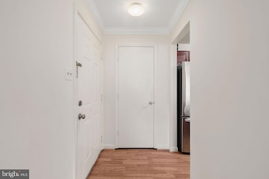 2609 Camelback Ln unit 6, Silver Spring, MD 20906 - photo 4