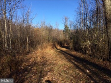 321 Blue Rocks Rd, Lenhartsville, PA 19534 - photo 5