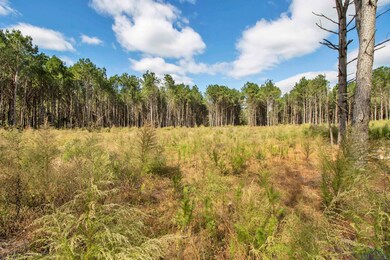 TBD Wolf Rd, Pittsburg, TX 75686 - photo 7