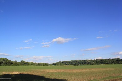 IMG_4340