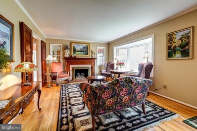 8517 Doter Dr, Alexandria, VA 22308 - photo 3