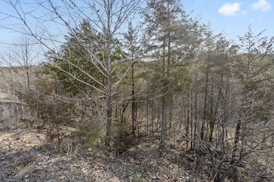 142/143 Country Ridge Way, Branson, MO 65616 - photo 5