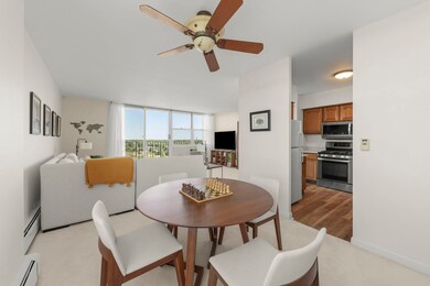 Lombard Tower unit 11A, Lombard, IL 60148 - photo 7