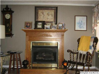 Nice fireplace