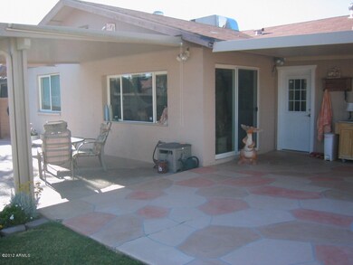 Backyard 3