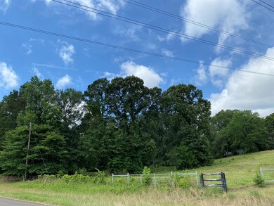 0 County Rd 285 unit 20086682, Tyler, TX 75707 - photo 4