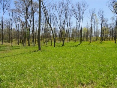 0 Horse Mountain Rd unit RTC1267446, Shelbyville, TN 37160 - photo 4