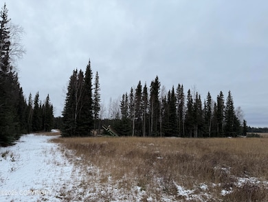 000 Tanana Loop Rd, Big Delta, AK 99737 - photo 4