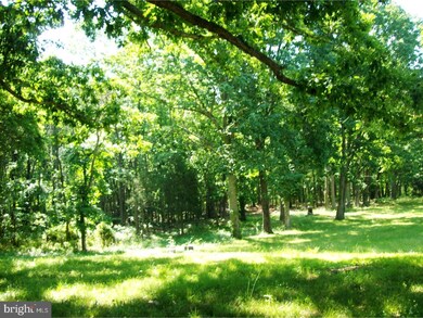 18 W Factory Rd, Berlin, NJ 08009 - photo 7