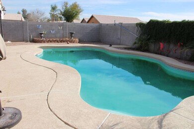 PALM-POOL----1762