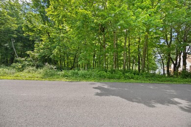 30-web-or-mls-413A5381