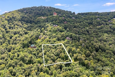 17 Mountain Gait Dr unit 17, Mars Hill, NC 28754 - photo 3