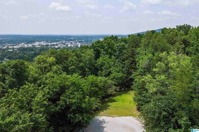 0 Rebecca Trail unit 6.07 ac 21420735, Anniston, AL 36207 - photo 6