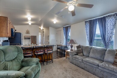 011_photo11_6235_apache_tr._show_low_cin