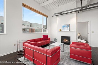 361 Robinson St unit 238, Basalt, CO 81621 - photo 5