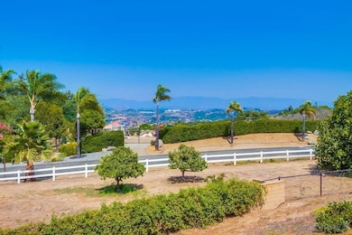 6411 Via de la Reina, Bonsall, CA 92003 - photo 4