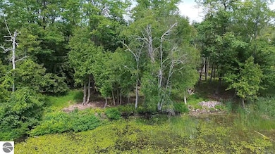 00 Partridge Trail, Elk Rapids, MI 49629 - photo 2