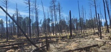 Lot 585 Leslie Loop unit 585, Fort Garland, CO 81133 - photo 7