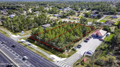 9990 Cortez Blvd, Spring Hill, FL - photo 3