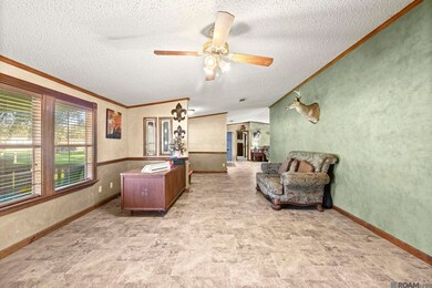 32324 Lockslie Dr, Denham Springs, LA 70706 - photo 3