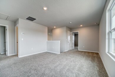 1516 Gopher Loop, Tarpon Springs, FL 34689 - photo 7