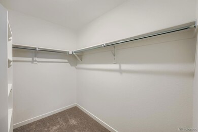 8875 Blue Feather Loop, Colorado Springs, CO 80908 - photo 7