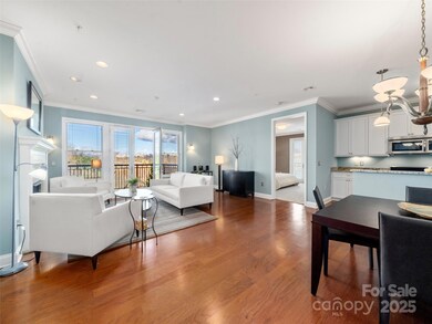 350 E Allen St unit 302, Hendersonville, NC 28792 - photo 5