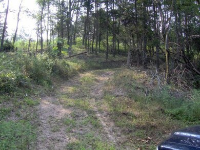 0 Old Stage Coach Rd unit 750408, Rutledge, TN 37861 - photo 6