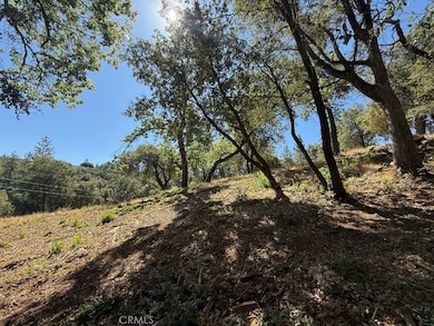 5710 Clouds Rest, Mariposa, CA 95338 - photo 4