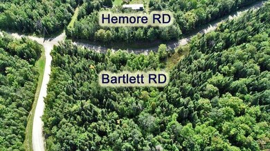 bartlett-hemore-rd-ludlow
