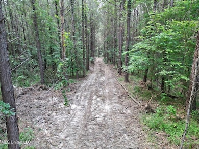 2 Old Hamburg Roxie Rd NW, Roxie, MS 39661 - photo 6