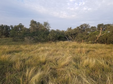 168 Acres In Kendall County, Sisterdale, TX 78006 - photo 3