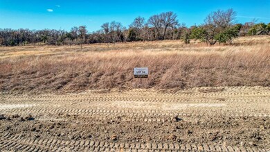 TBD 54 Latigo Way Ct, Weatherford, TX 76088 - photo 7