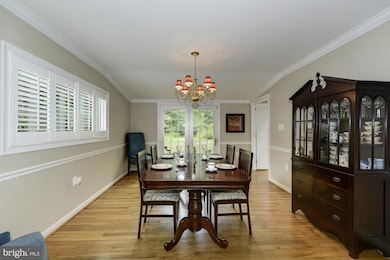 3430 Glen Carlyn Dr, Falls Church, VA 22041 - photo 6