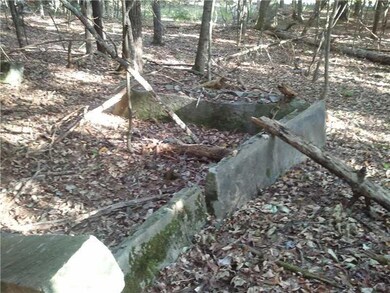 Land. Sill stones outlining where a...