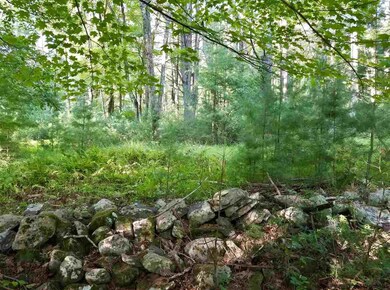 58 St Josen Rd, Accord, NY 12404 - photo 7