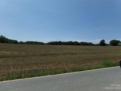 12500 Pine Bluff Rd, Midland, NC 28107 - photo 5