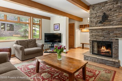 600 Carriage Way unit K9&10, Snowmass Village, CO 81615 - photo 3