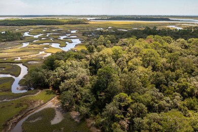 00 Pine Island Rd, Nocatee, FL 32081 - photo 7