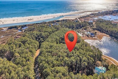 Drone / aerial view featuring a water view and a v