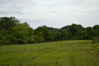 0 J W Taylor Rd, Franklinton, LA 70438 - photo 2