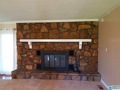 194 Rocky Top Dr, Remlap, AL 35133 - photo 5