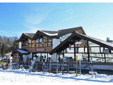 32 Luvermont Ln, Ludlow, VT 05149 - photo 6