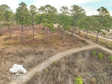 0 Reverend Jw Carter Rd, Manning, SC 29102 - photo 6