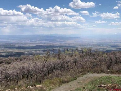 21525 W Elks View Dr, Cedaredge, CO 81413 - photo 5