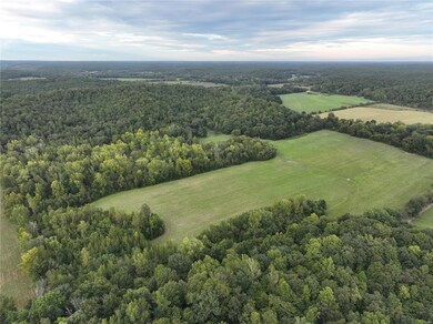 0 County Road 432, Epps Township, MO 63901 - photo 3