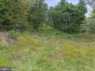 0 Andrews Rd unit VAWR2012334, Strasburg, VA 22657 - photo 5